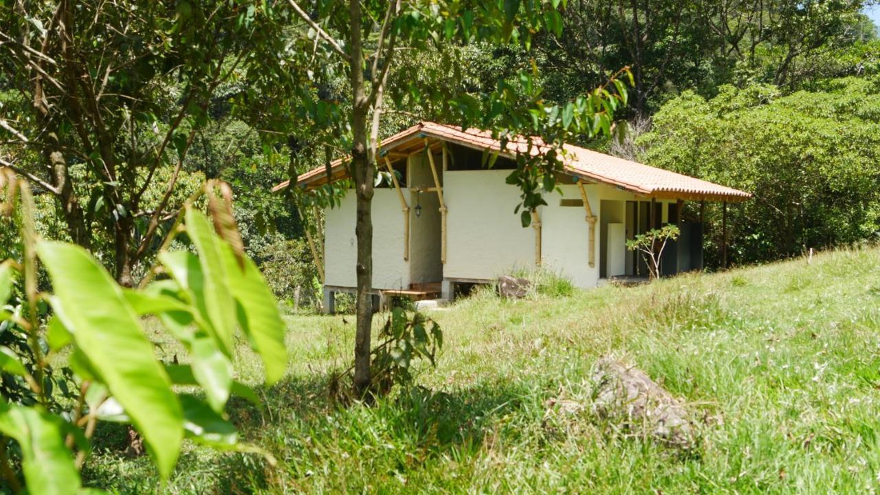 La Perla Negra - Black Pearl Eco Hostel サン・ラファエル エクステリア 写真