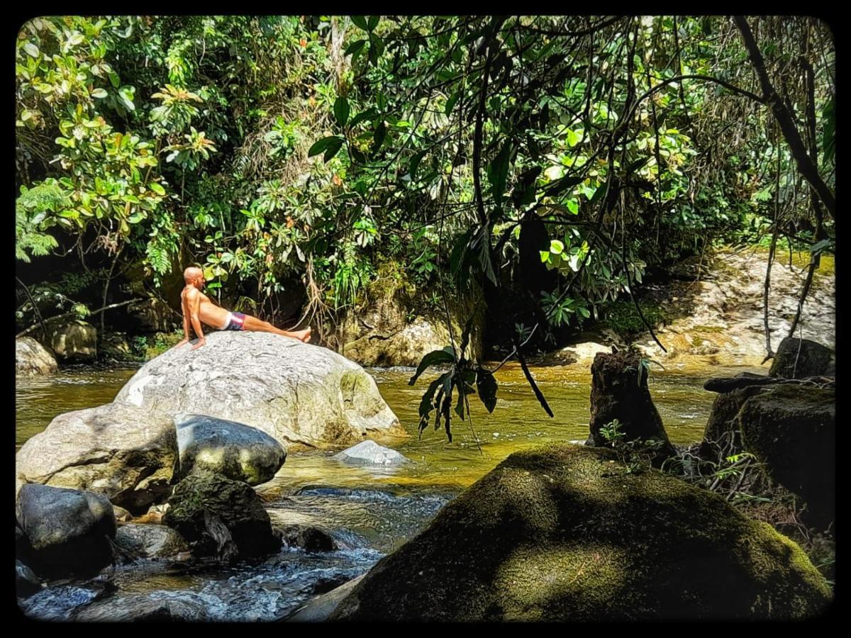 La Perla Negra - Black Pearl Eco Hostel サン・ラファエル エクステリア 写真