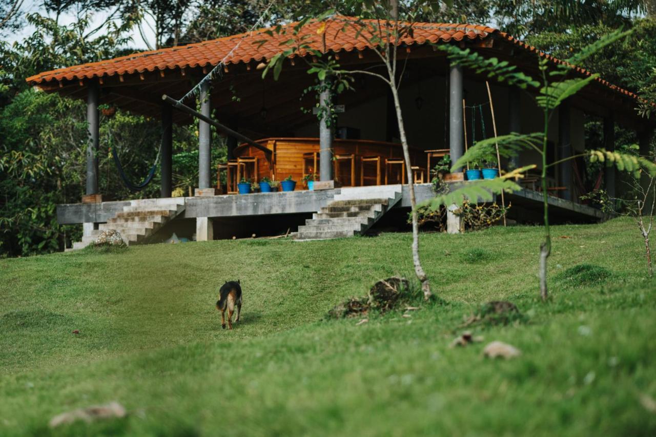 La Perla Negra - Black Pearl Eco Hostel サン・ラファエル エクステリア 写真