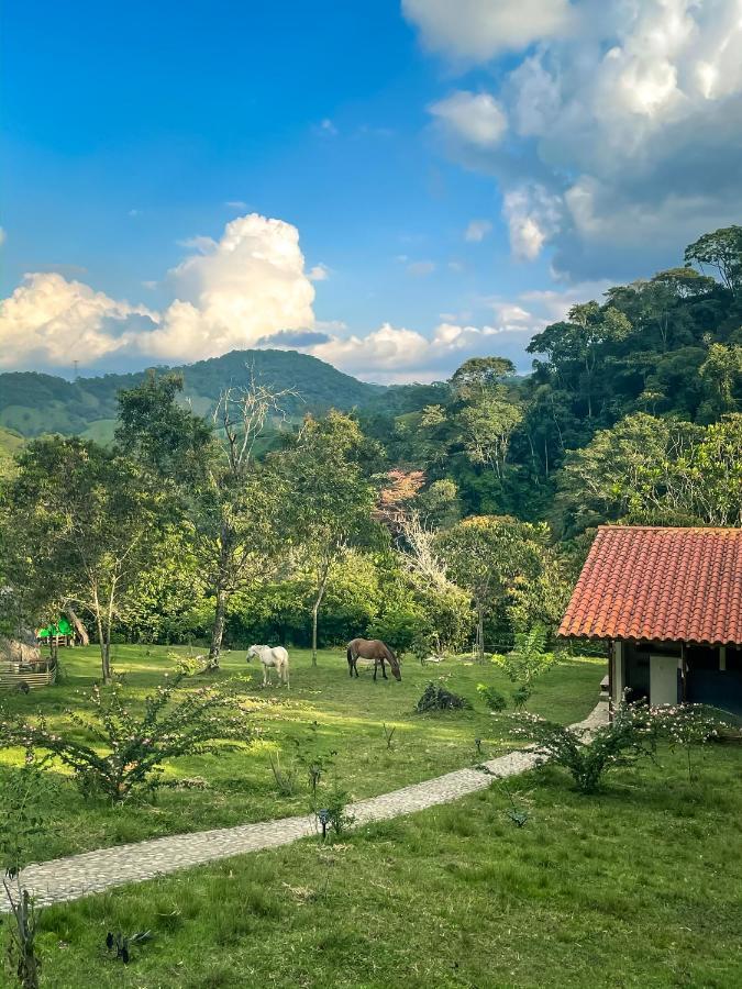 La Perla Negra - Black Pearl Eco Hostel サン・ラファエル エクステリア 写真