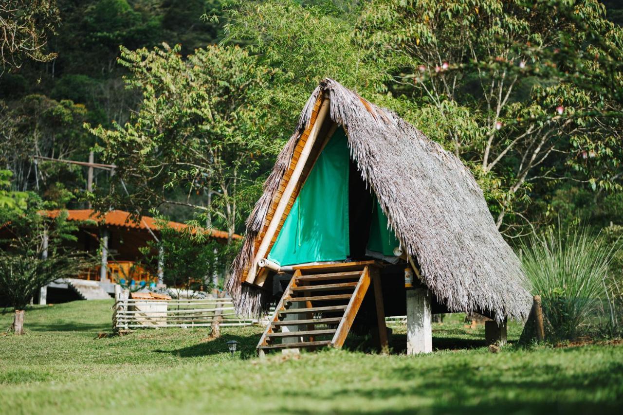La Perla Negra - Black Pearl Eco Hostel サン・ラファエル エクステリア 写真