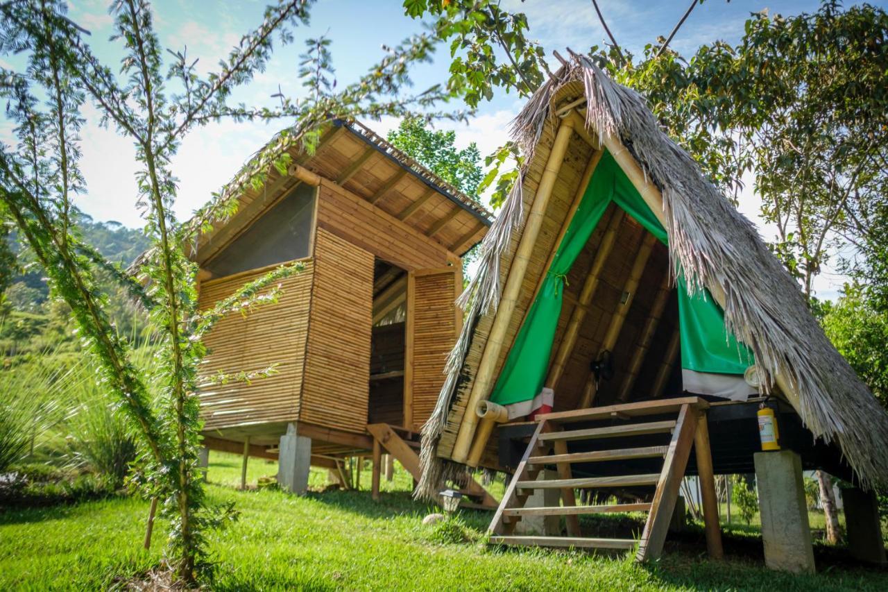 La Perla Negra - Black Pearl Eco Hostel サン・ラファエル エクステリア 写真