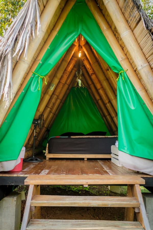 La Perla Negra - Black Pearl Eco Hostel サン・ラファエル エクステリア 写真