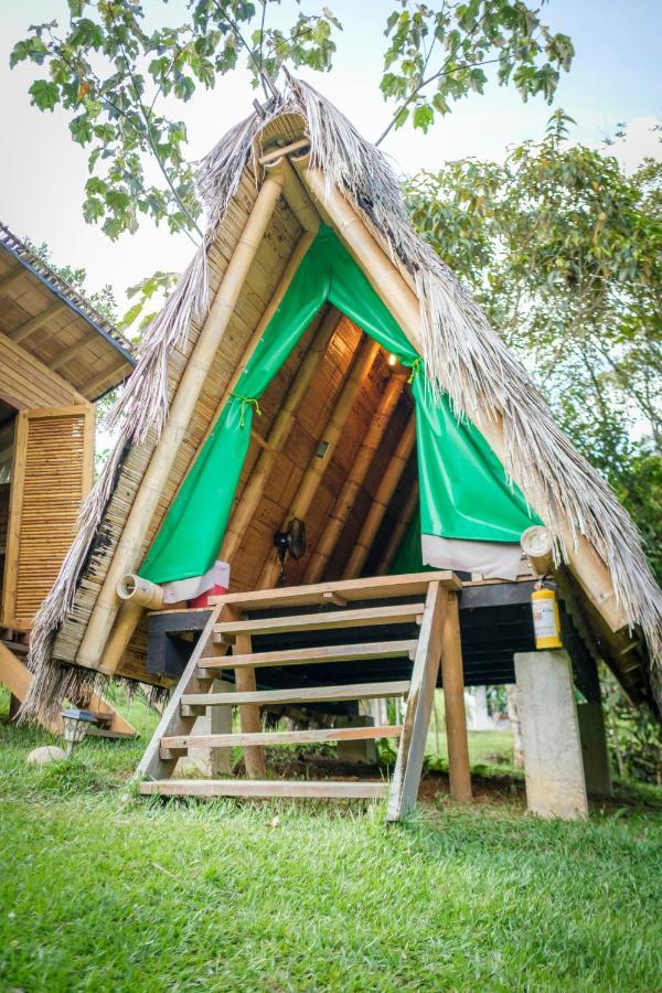 La Perla Negra - Black Pearl Eco Hostel サン・ラファエル エクステリア 写真