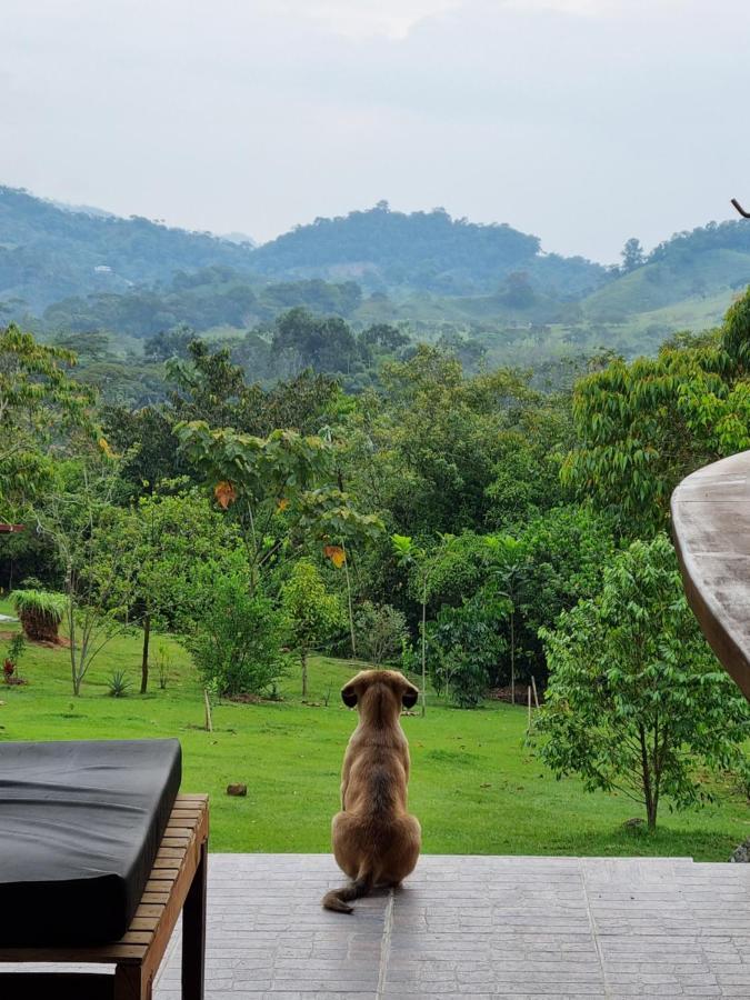 La Perla Negra - Black Pearl Eco Hostel サン・ラファエル エクステリア 写真